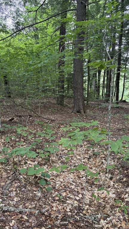 Picture 20