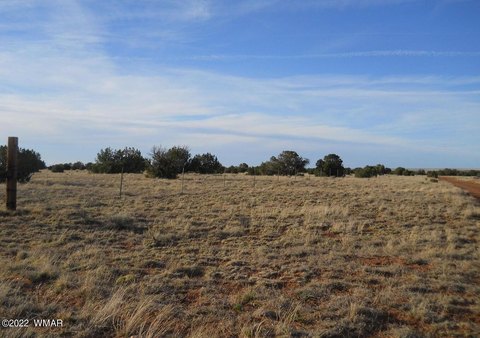 Concho, AZ - 38 Acres