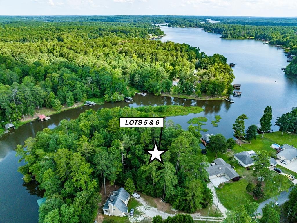 Lake Sinclair Wooded Waterfront Lots