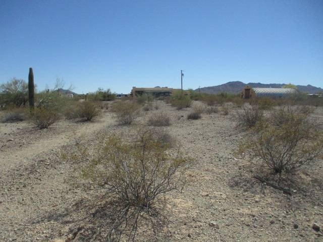 Picture 2