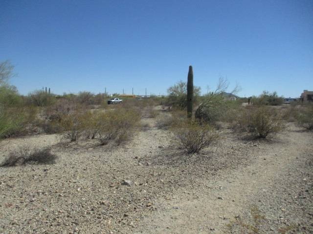 Picture 4
