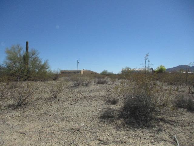 Picture 5