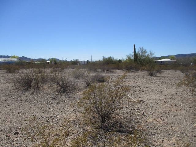 Picture 3