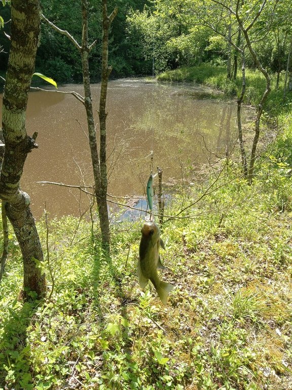 Picture 2