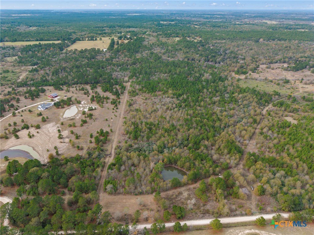 Secluded Timberland Paradise in Bedias, TX