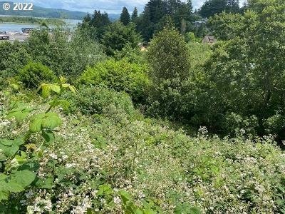 Residential Lot in Coos Bay