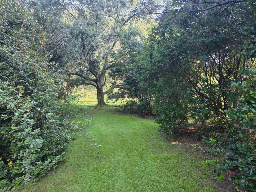 Picture 46