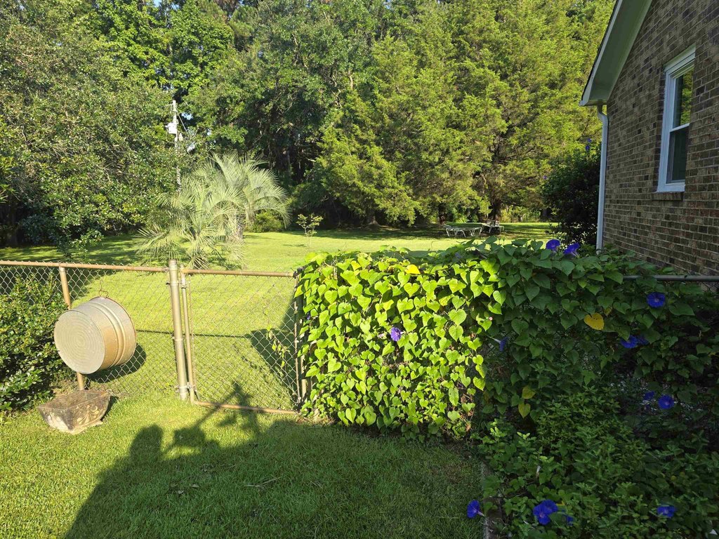 Picture 48