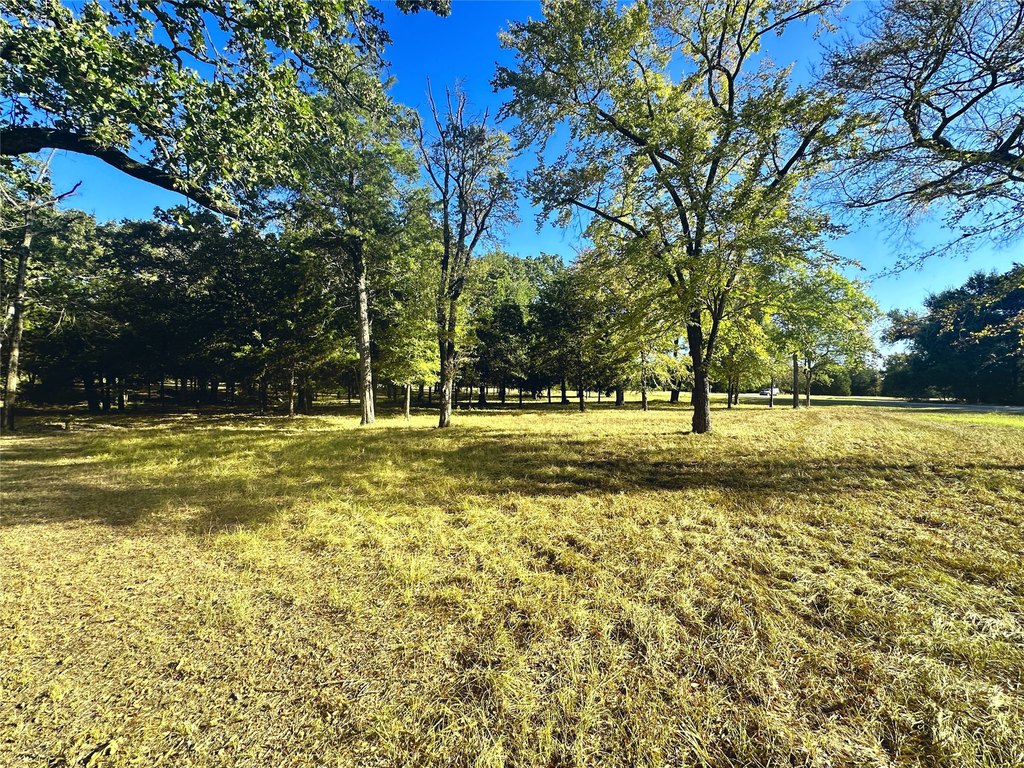 Picture 16