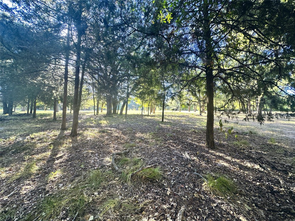 Picture 21
