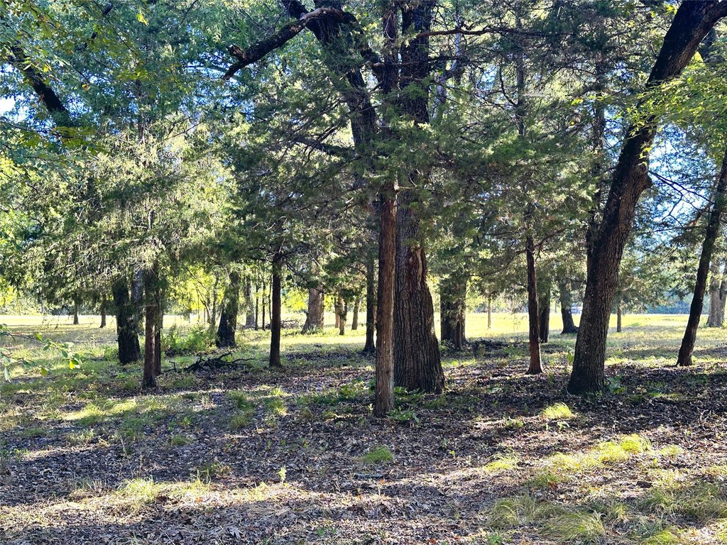 Picture 17