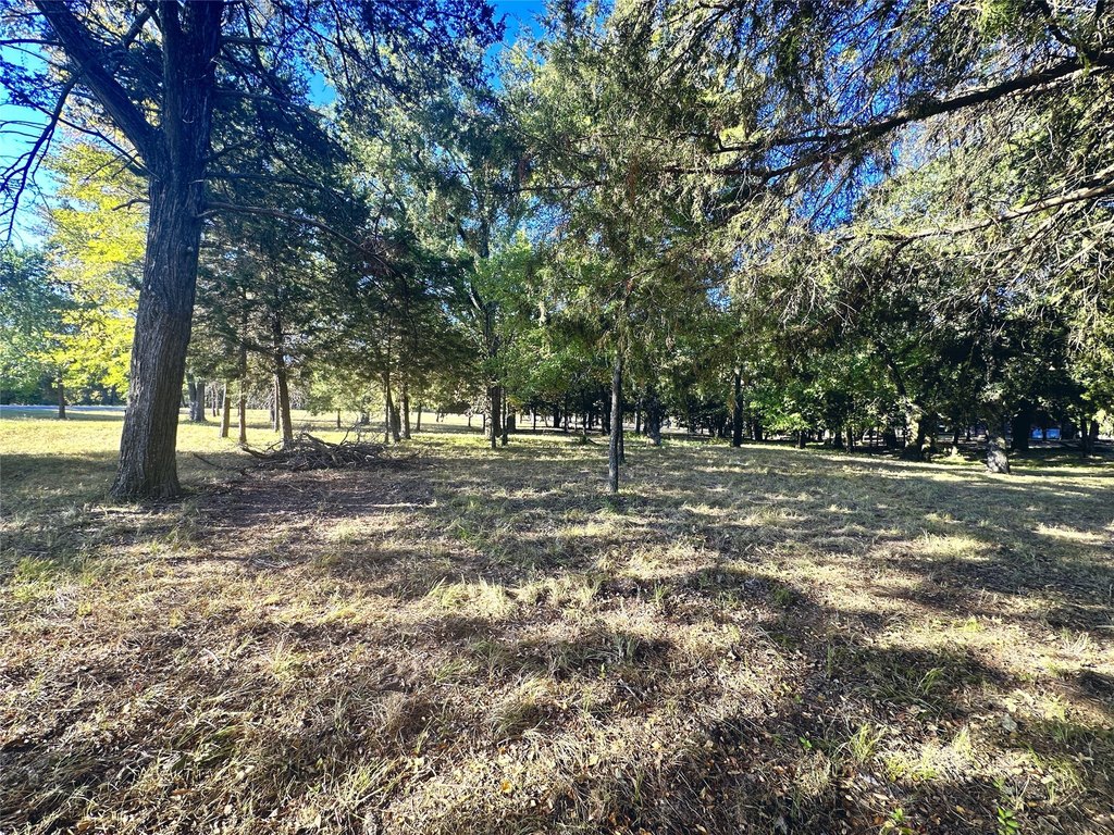 Picture 25