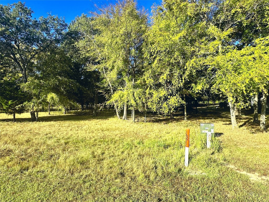 Picture 12