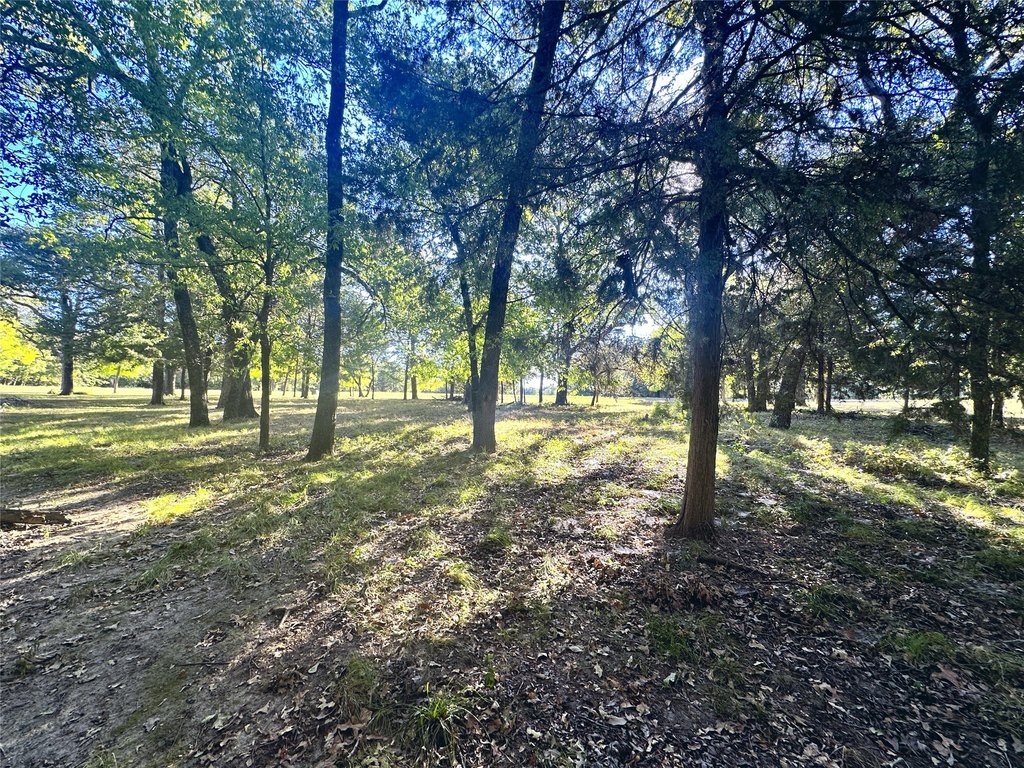 Picture 30