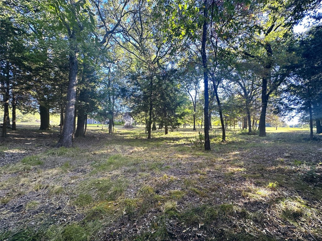 Picture 40
