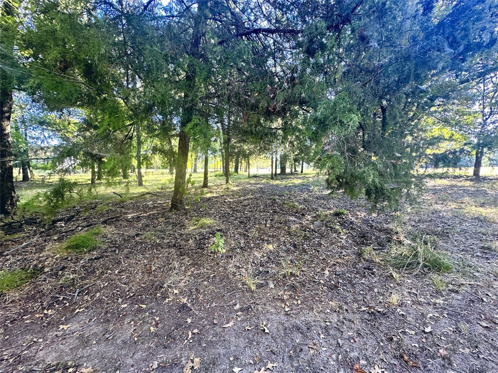 Picture 14