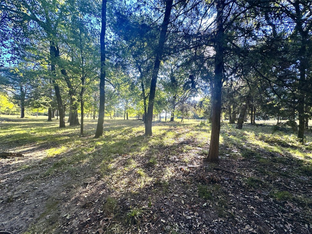 Picture 22