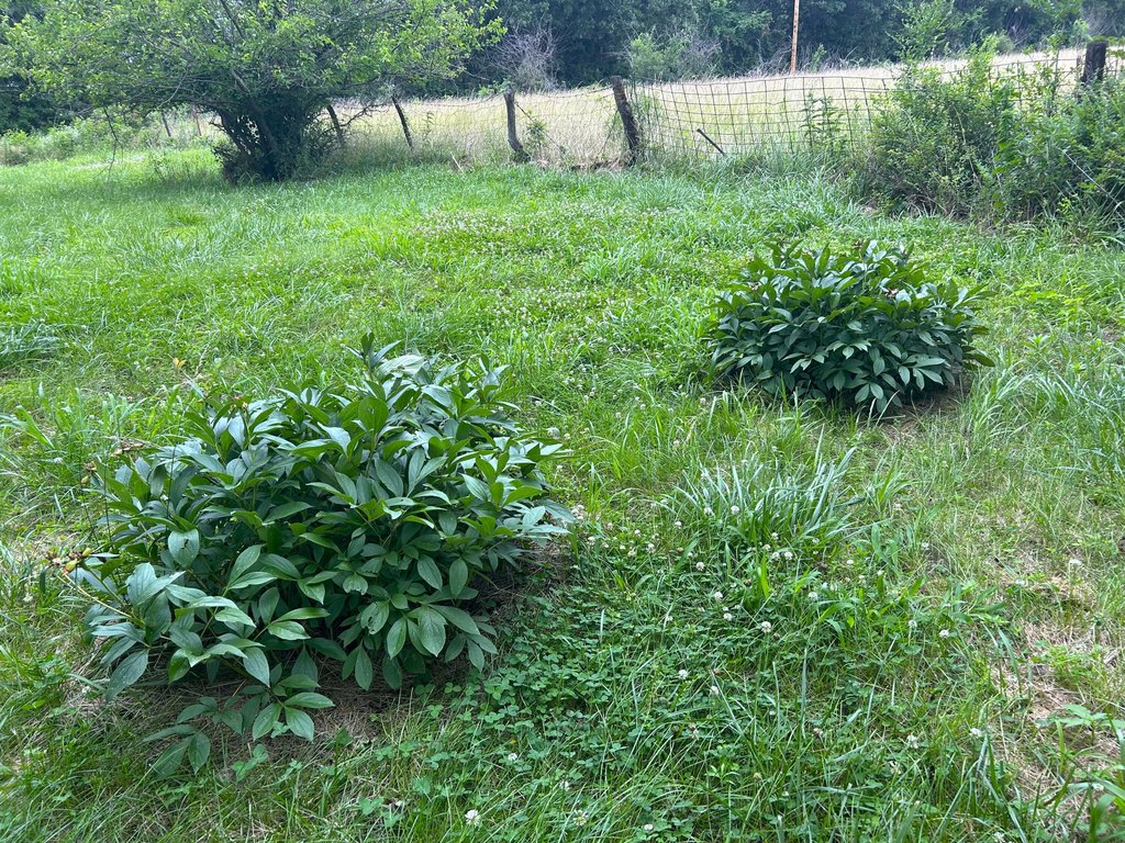 Picture 7