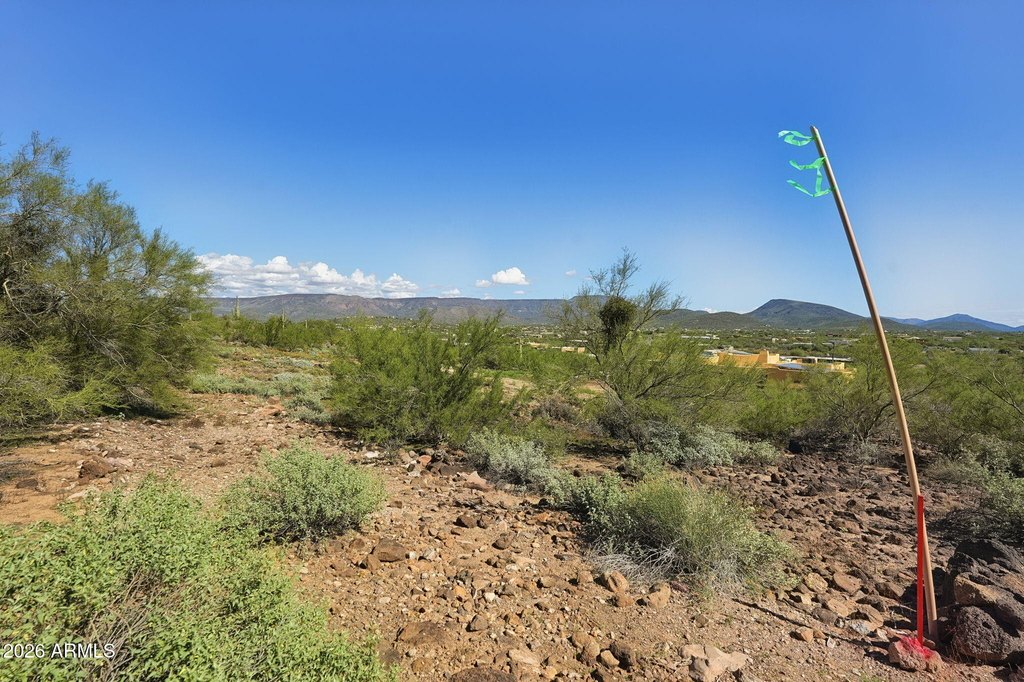 Picture 21