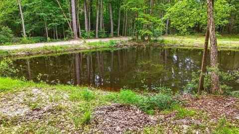 Land with Creek Frontage