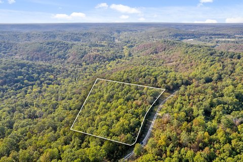 Wooded Land Near Niangua River