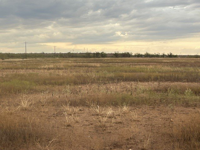 Picture 14