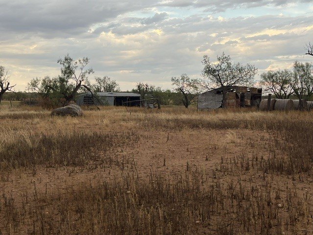 Picture 8