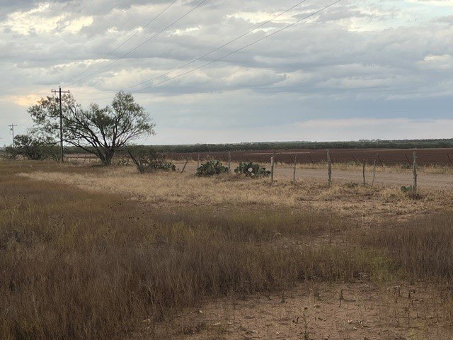 Picture 10