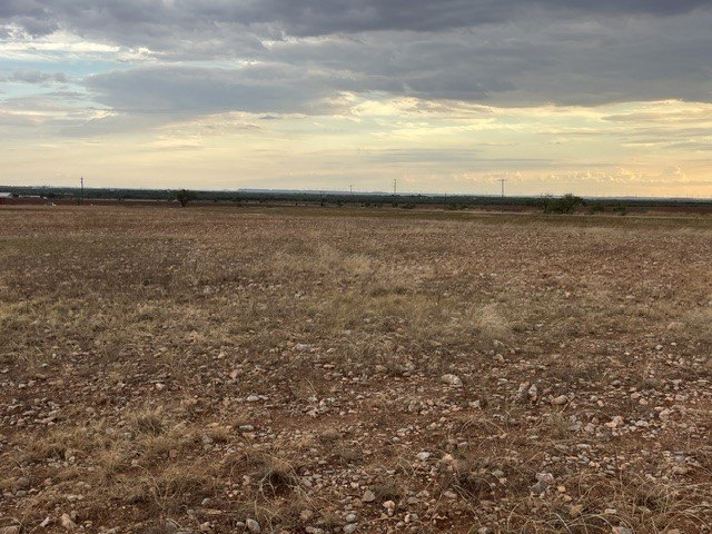Picture 13