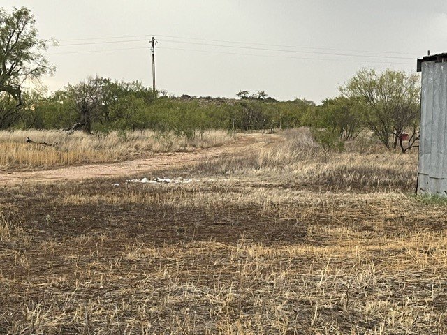 Picture 2