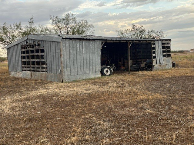 Picture 19