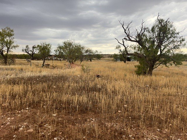 Picture 6