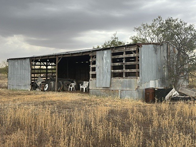 Picture 20
