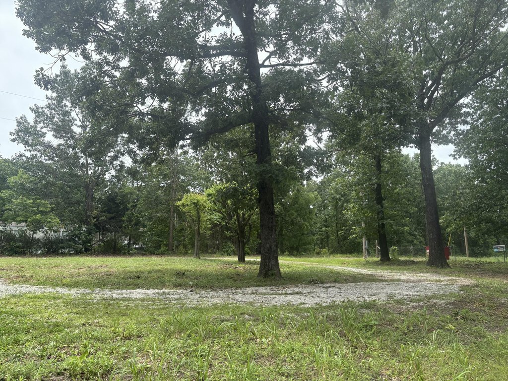 Picture 14