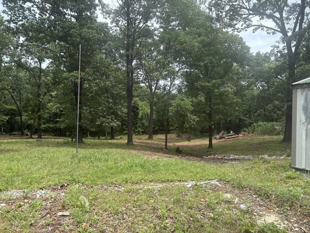 Picture 12
