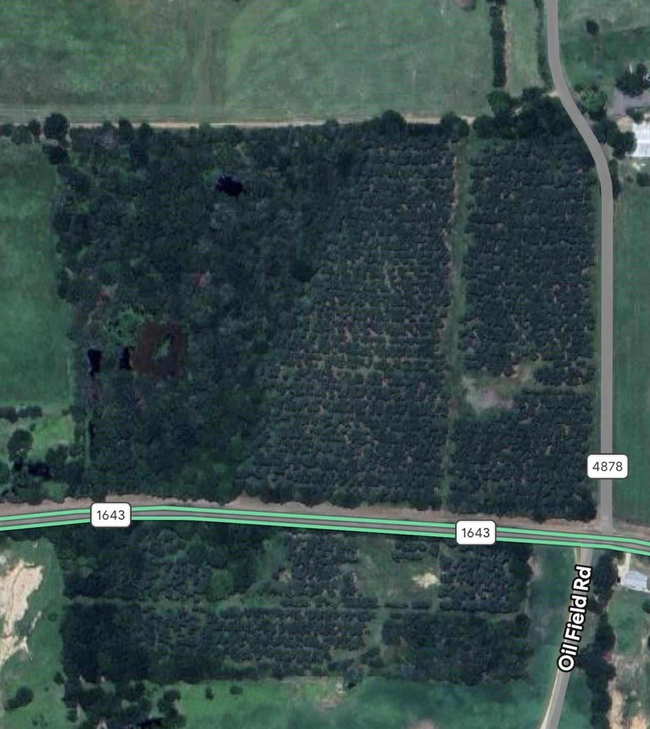 East Texas Land with Timber