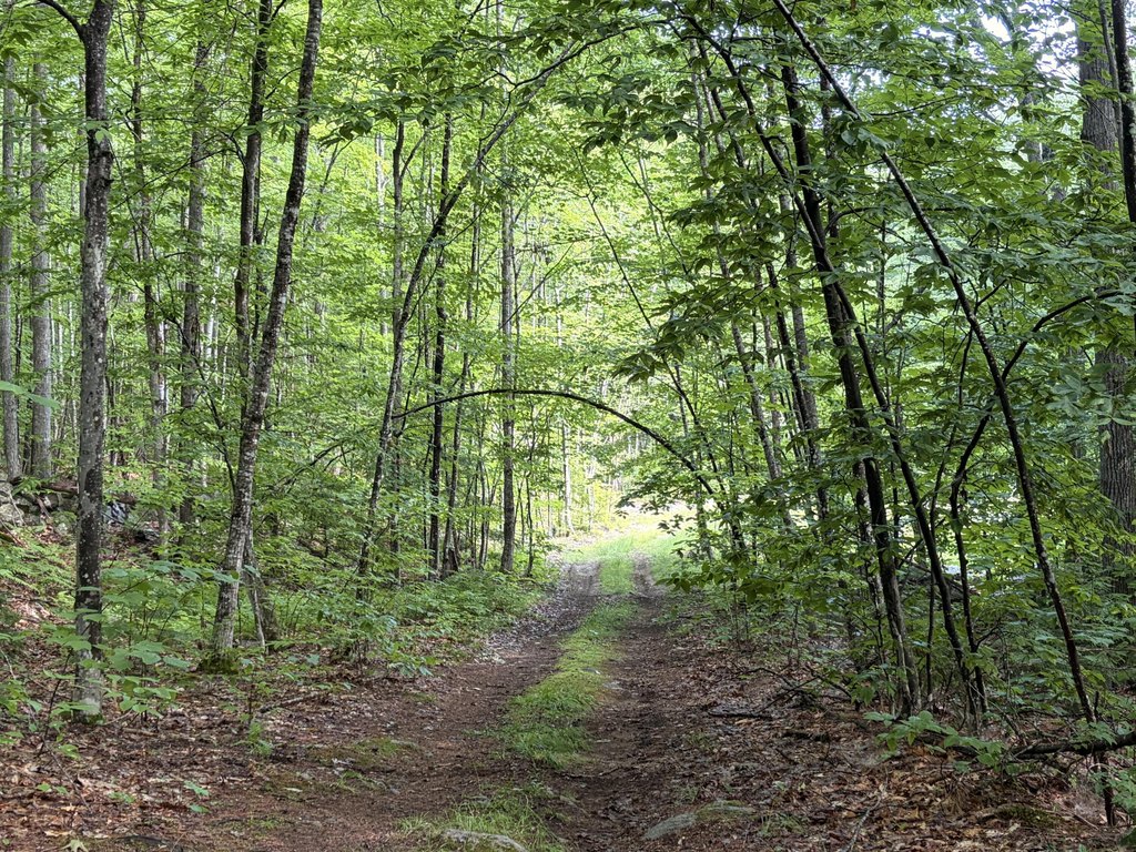 Picture 8