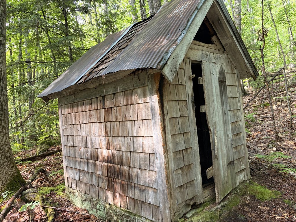 Picture 6