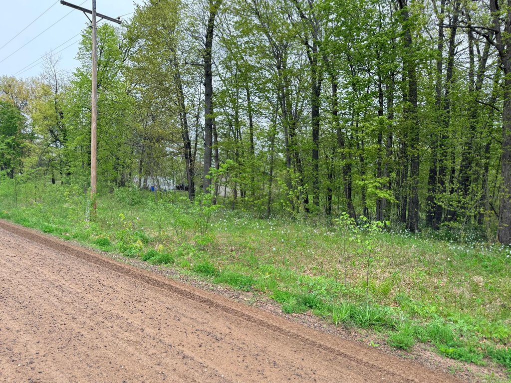 Picture 31