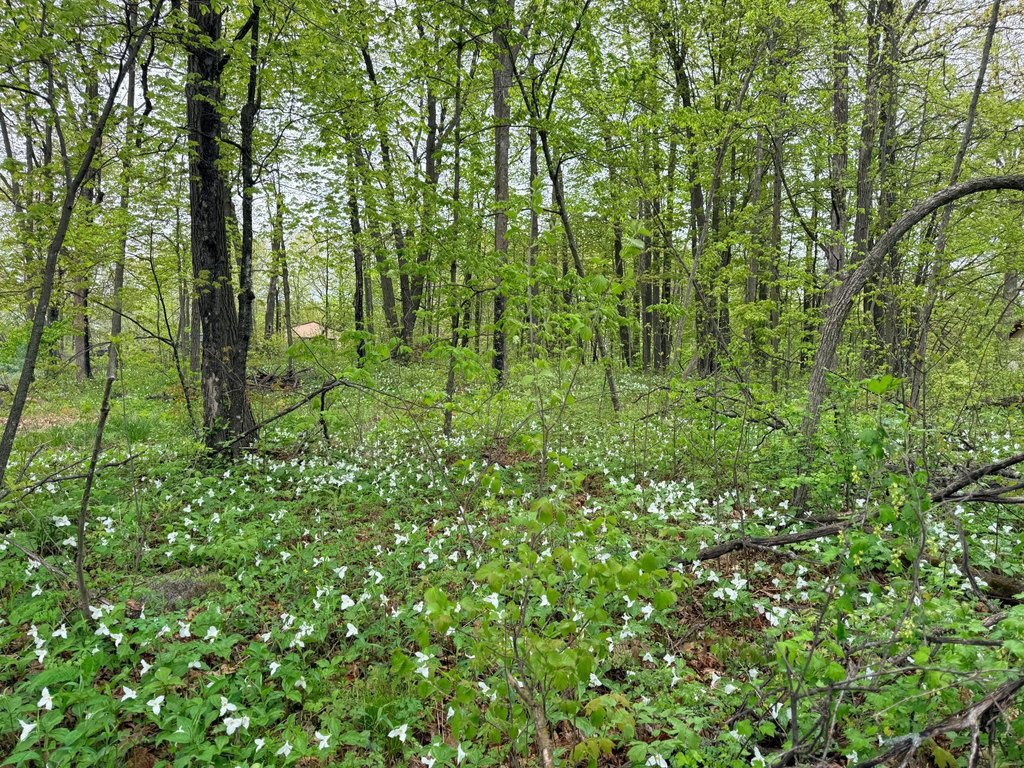 Picture 25