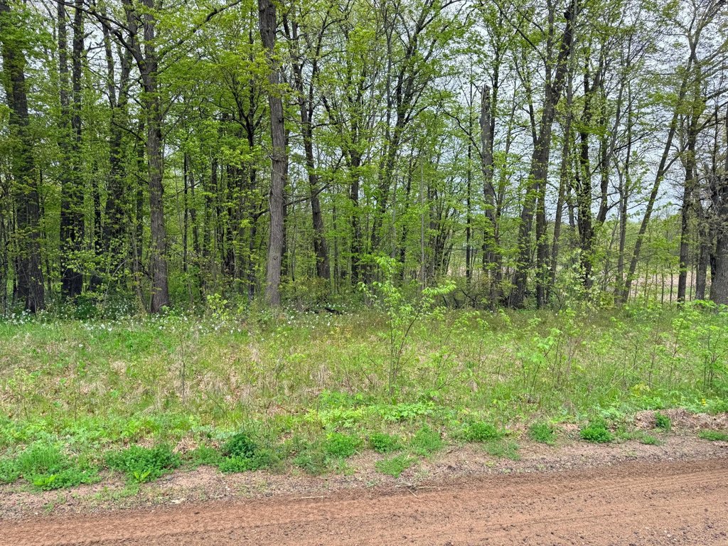 Picture 28