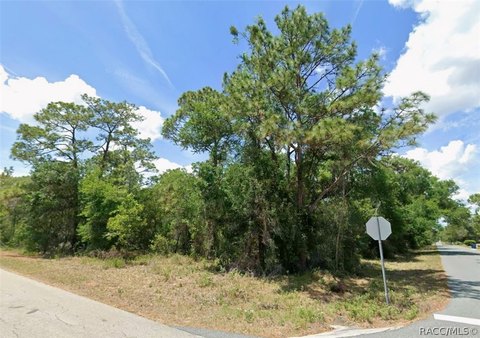 Land, Floral City, FL