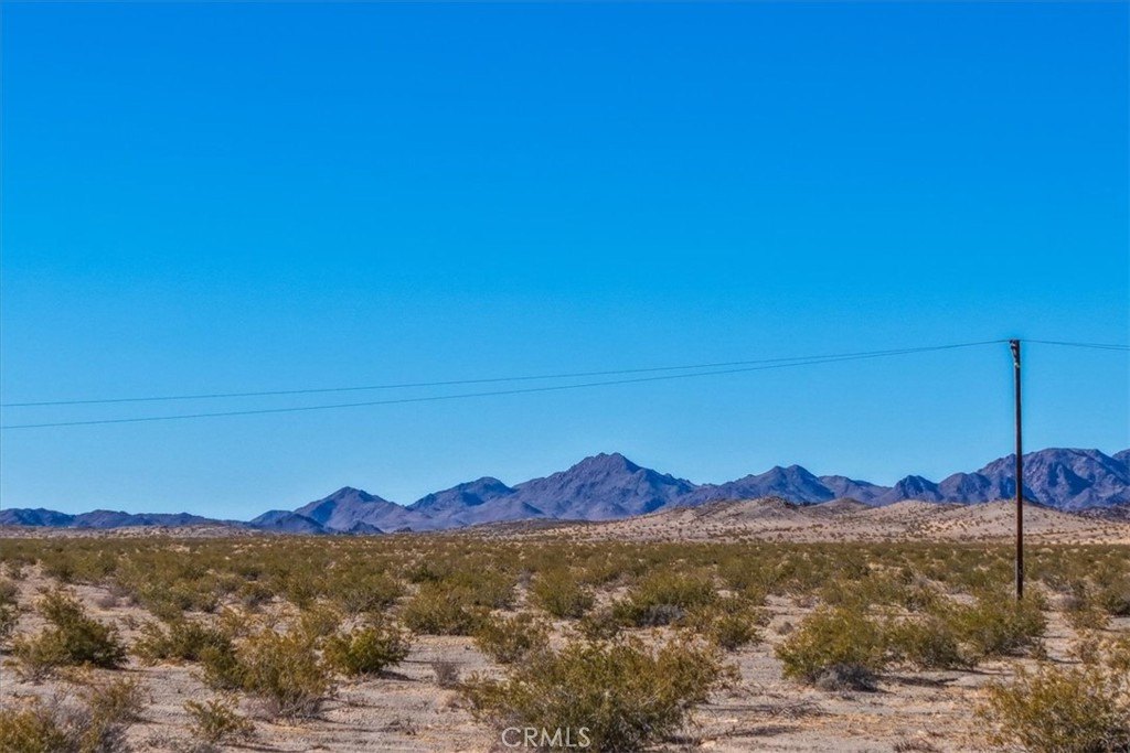 Picture 20