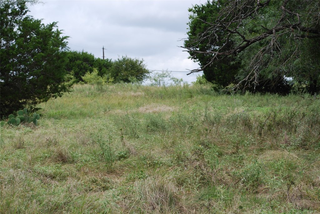 Picture 6