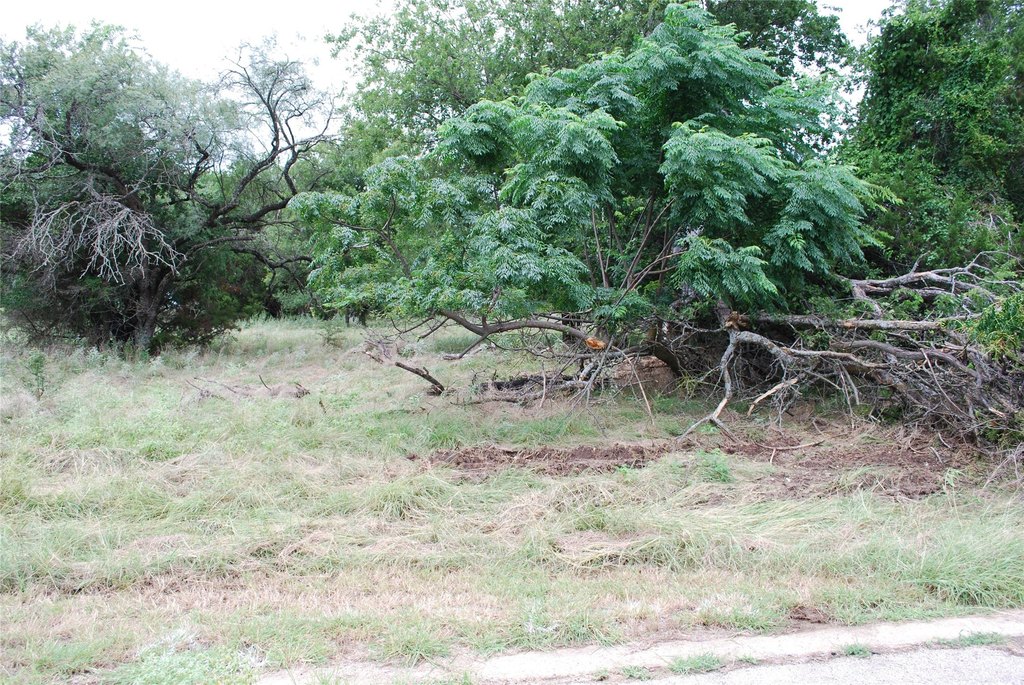 Picture 10