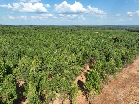 Land, Wadley, AL