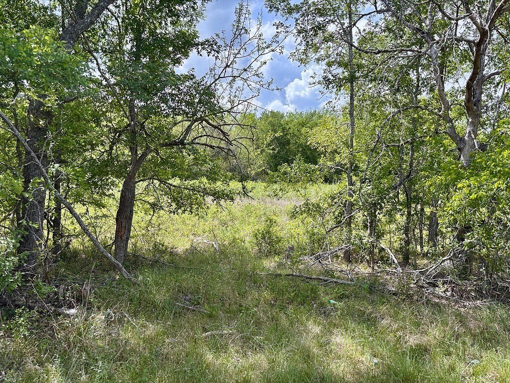 Picture 3