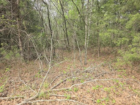 Land and Lots, Cherokee, AL