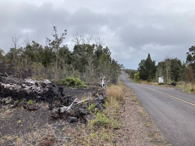 Picture 16