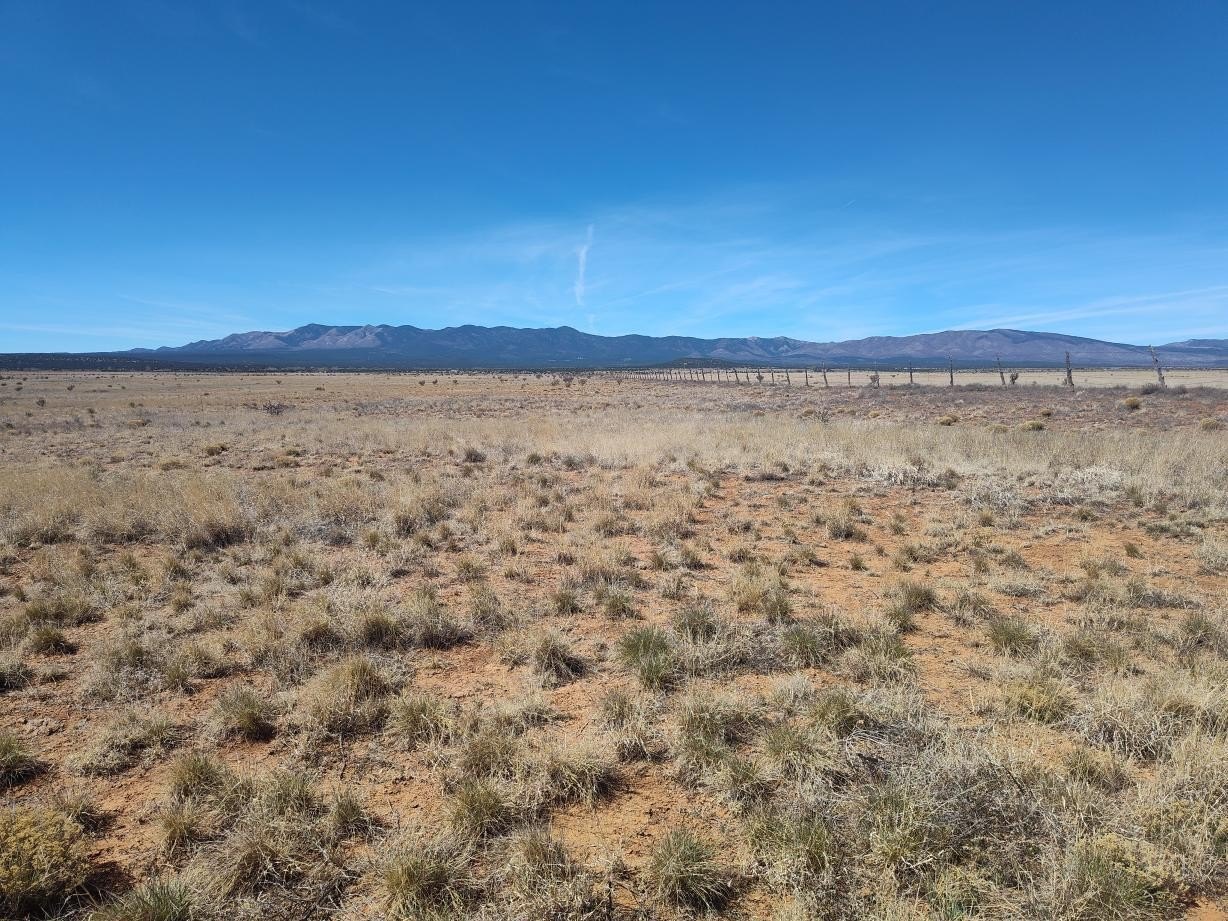 Land with Mountain Views